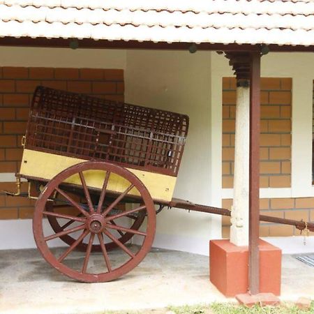 'Vrindavan' In Heritage City Mysuru Buitenkant foto