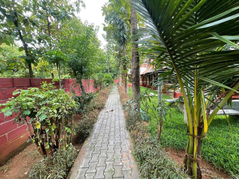 'Vrindavan' In Heritage City Mysuru Buitenkant foto
