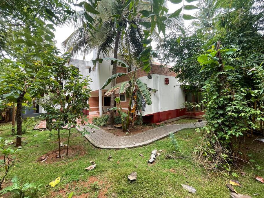 'Vrindavan' In Heritage City Mysuru Buitenkant foto
